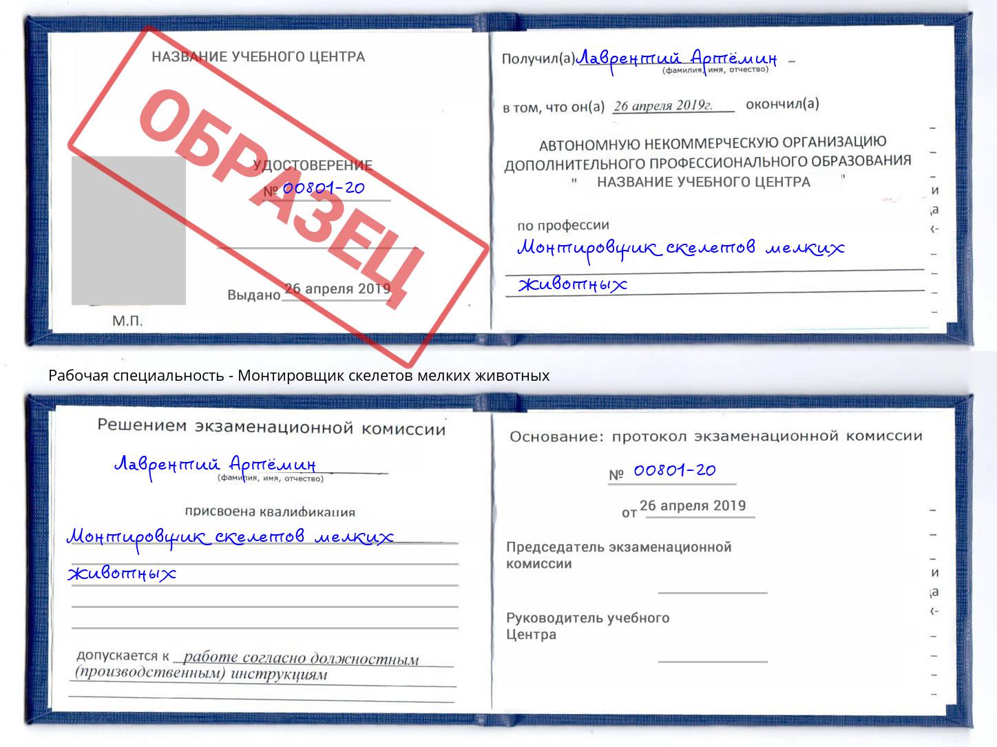 Монтировщик скелетов мелких животных Донецк