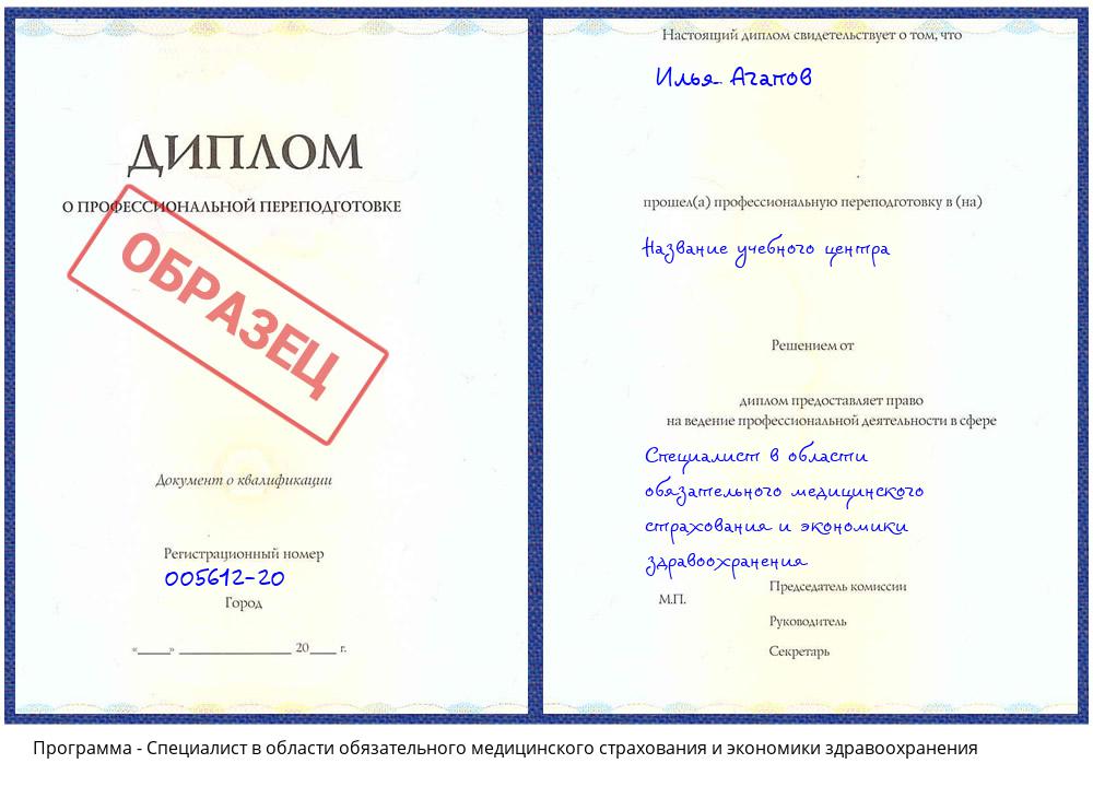 Специалист в области обязательного медицинского страхования и экономики здравоохранения Донецк