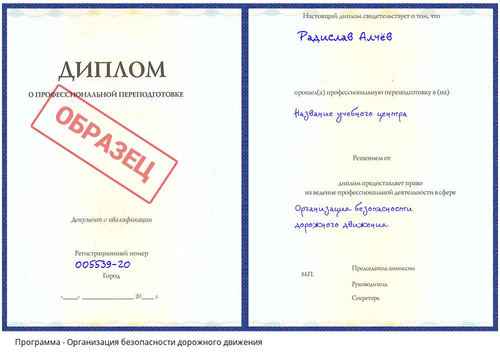Организация безопасности дорожного движения Донецк