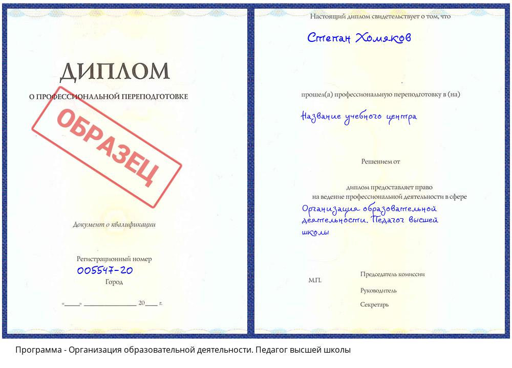 Организация образовательной деятельности. Педагог высшей школы Донецк