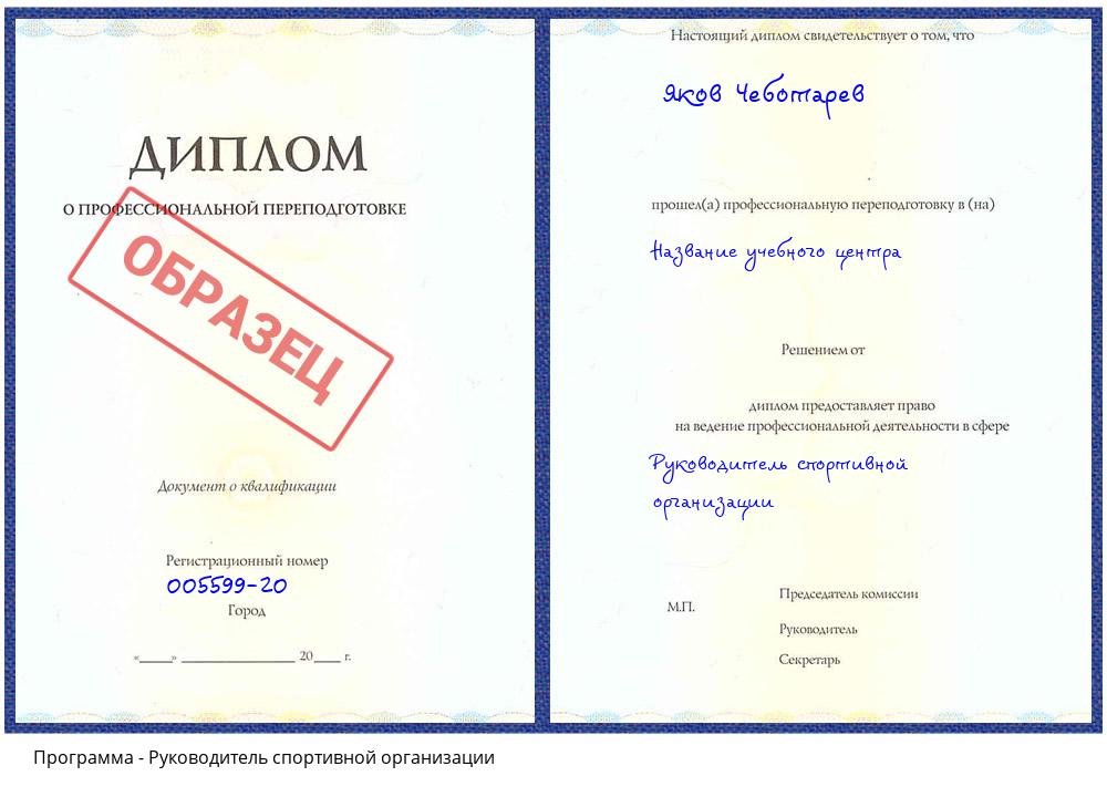 Руководитель спортивной организации Донецк