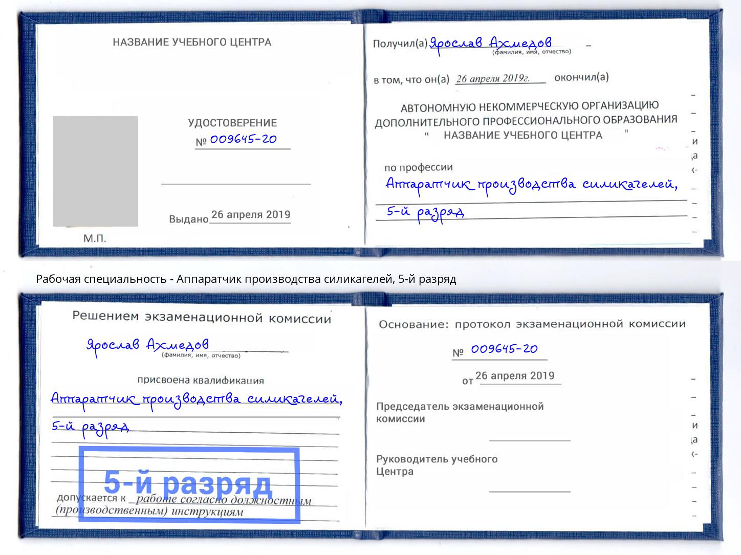 корочка 5-й разряд Аппаратчик производства силикагелей Донецк
