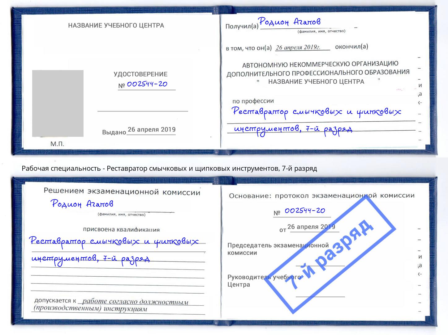 корочка 7-й разряд Реставратор смычковых и щипковых инструментов Донецк