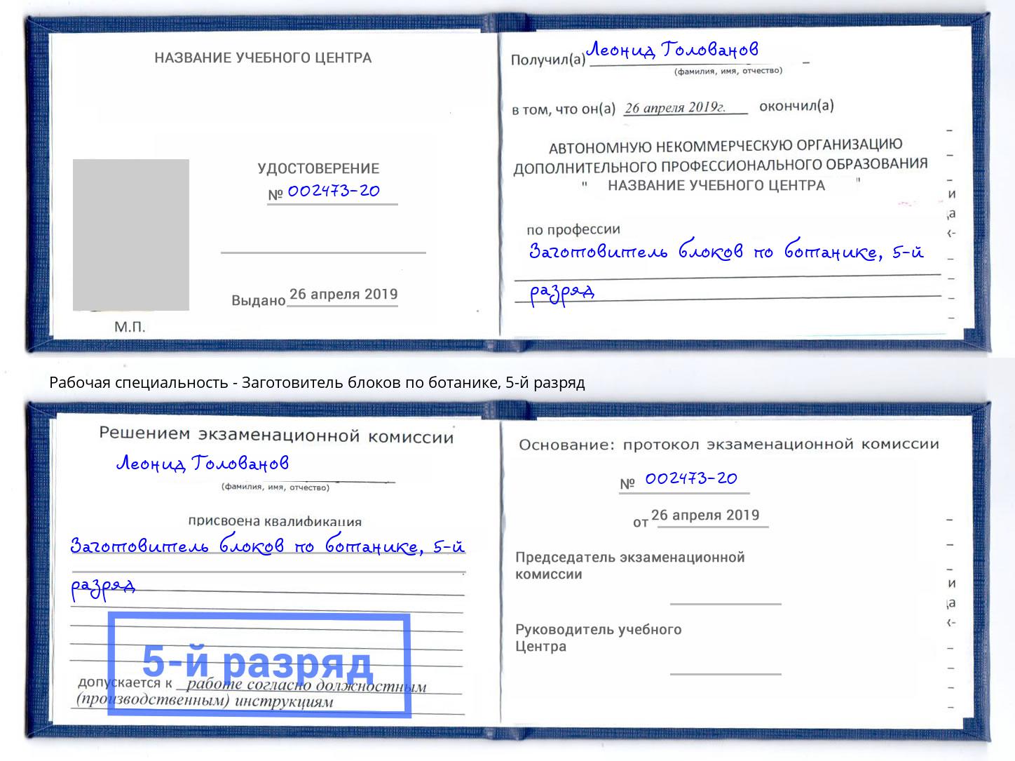 корочка 5-й разряд Заготовитель блоков по ботанике Донецк