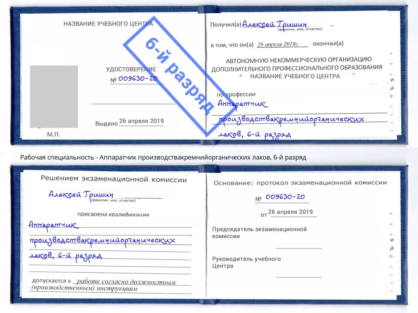 корочка 6-й разряд Аппаратчик производствакремнийорганических лаков Донецк