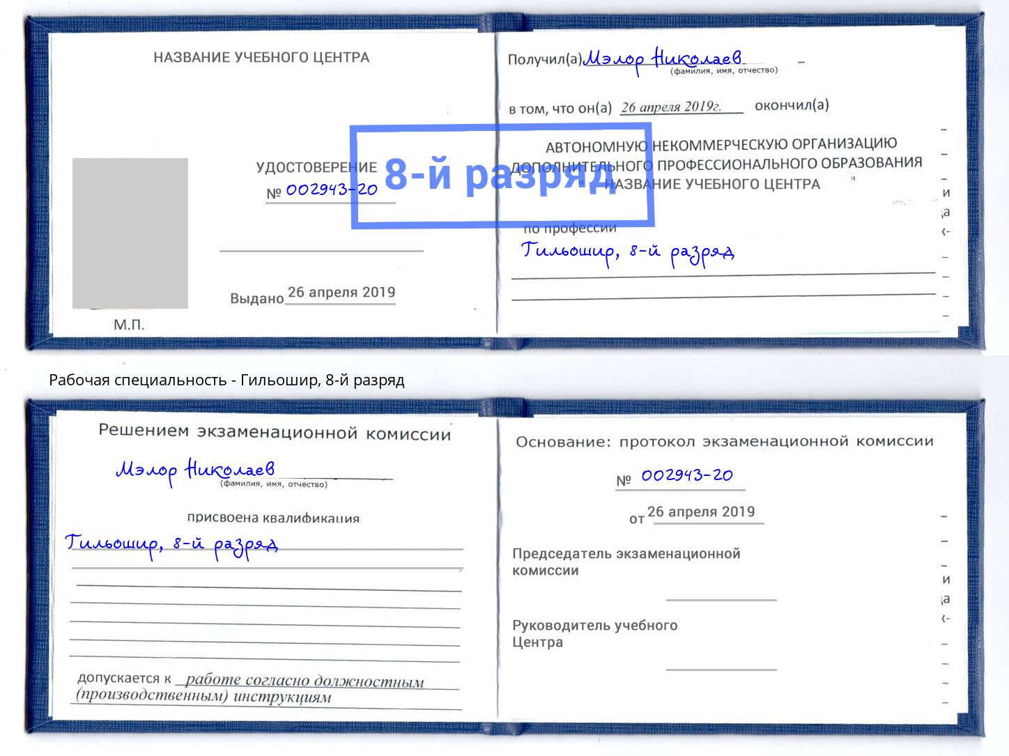 корочка 8-й разряд Гильошир Донецк