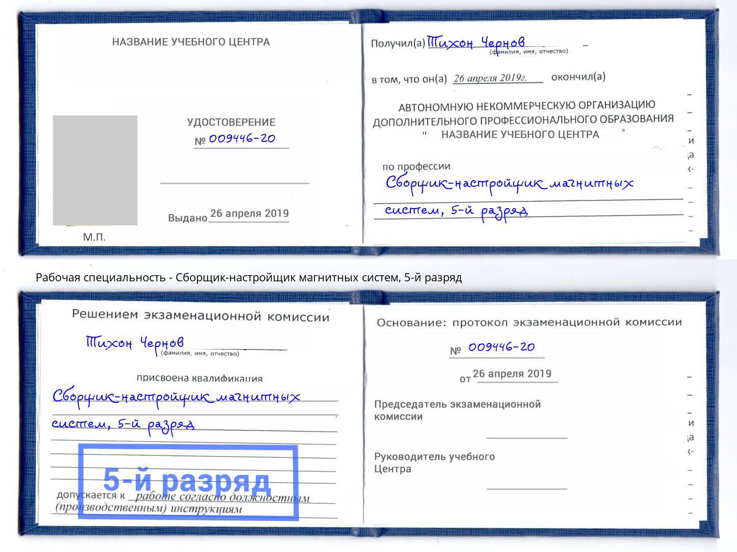 корочка 5-й разряд Сборщик-настройщик магнитных систем Донецк